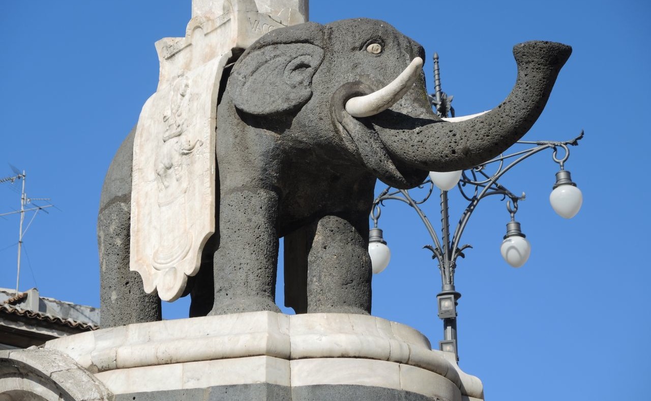 Elefant Catania
