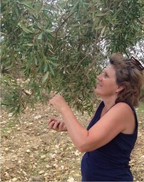 Katrin in den Oliven